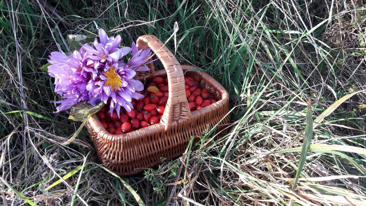 Willa Zeleny Dom Vysoke Tatry Stará Lesná Zewnętrze zdjęcie